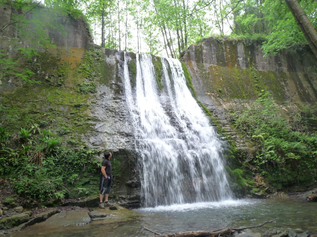 IBAIZABAL:  Pagasarri mendiaren biodibertsitatea kolokan