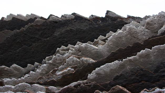 ZIENTZIALARI: Flysch-ak