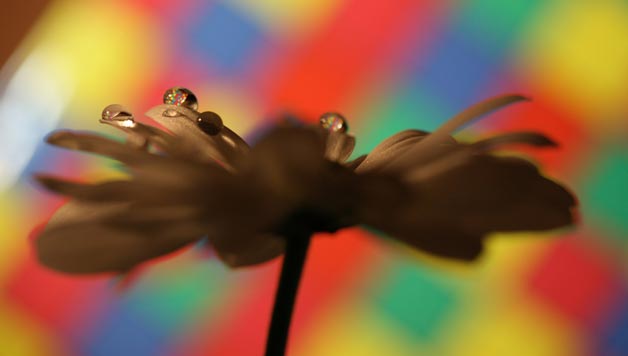 ZIENTZIALARI: Espektro elektromagnetikoa (Teresa Arbeloa)