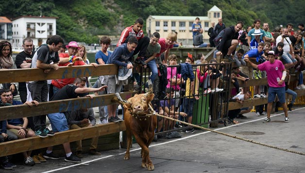 Gurea Dokumentala Euskal Herriko festetan egiten den animalien erabilera salatzen du