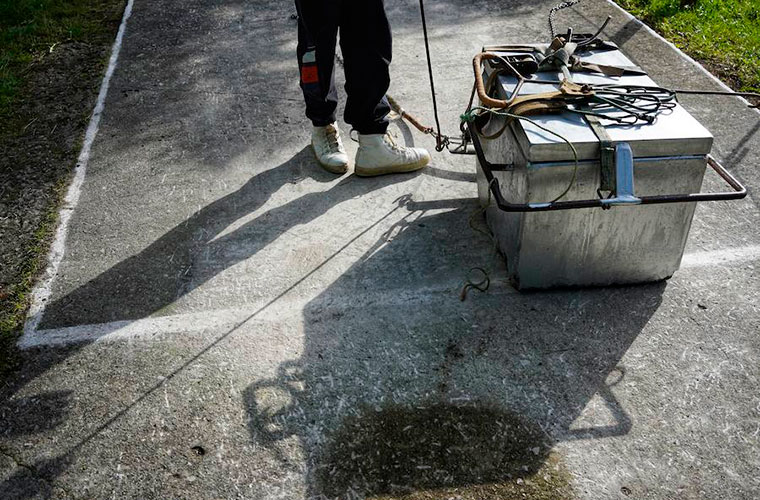 Animalien probetan legea ez dela betetzen salatu dute Leioko animaliekiko tratu txarrik ez taldeak