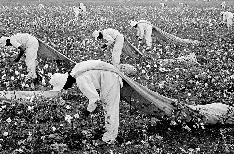 SOINUGELA: Kotoia (eta “cotton”) herri kantuetan #ThemeTime saioa